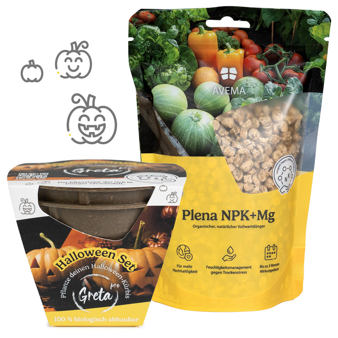 Halloween Grow Kit