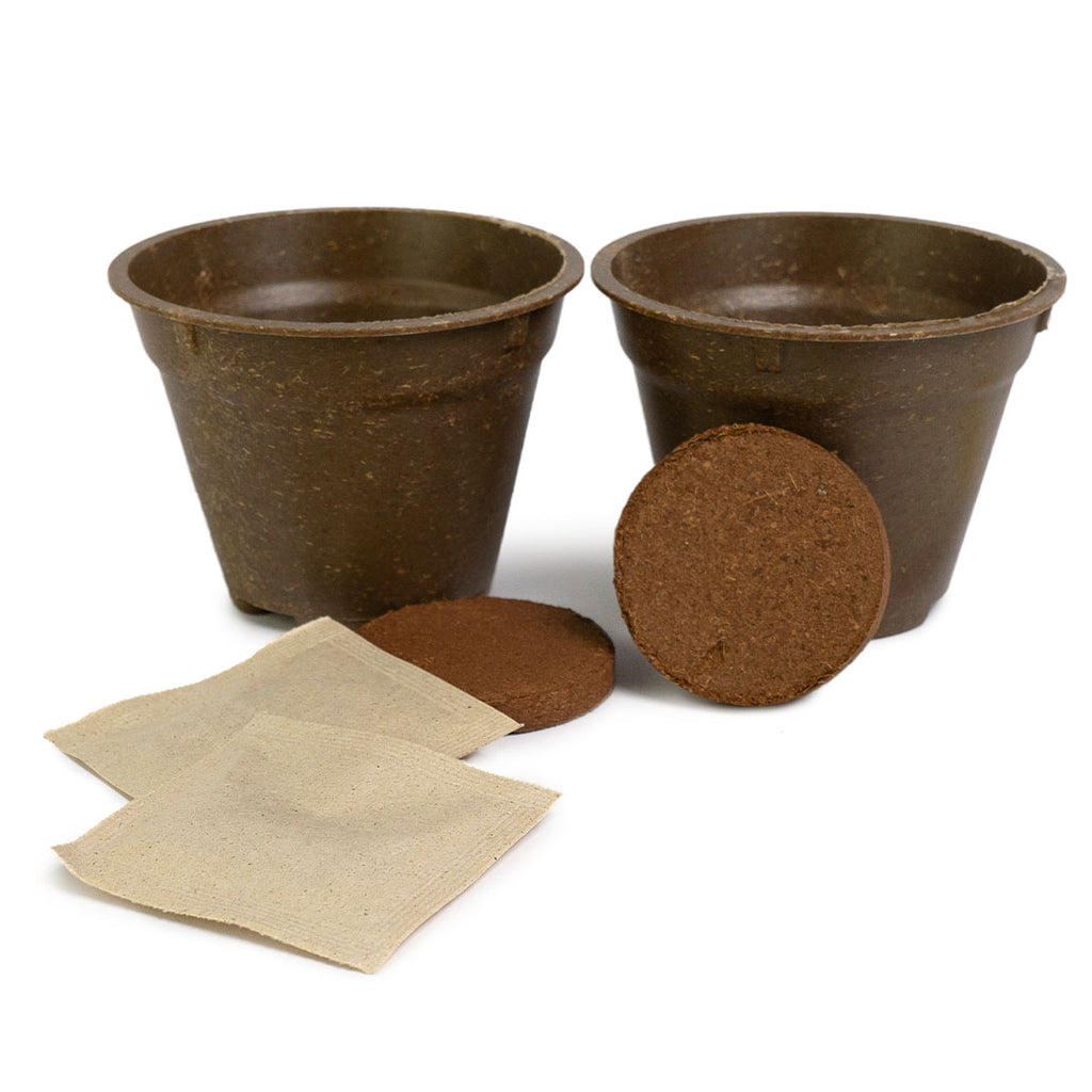 GRETA pro Hot&Sweet Set