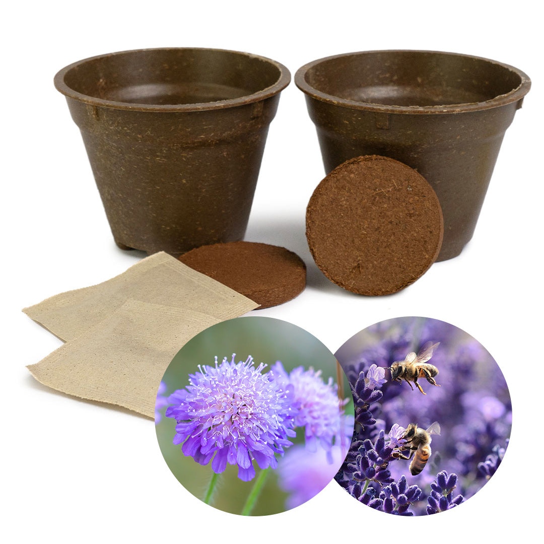 GRETA pro Bienenliebe Set