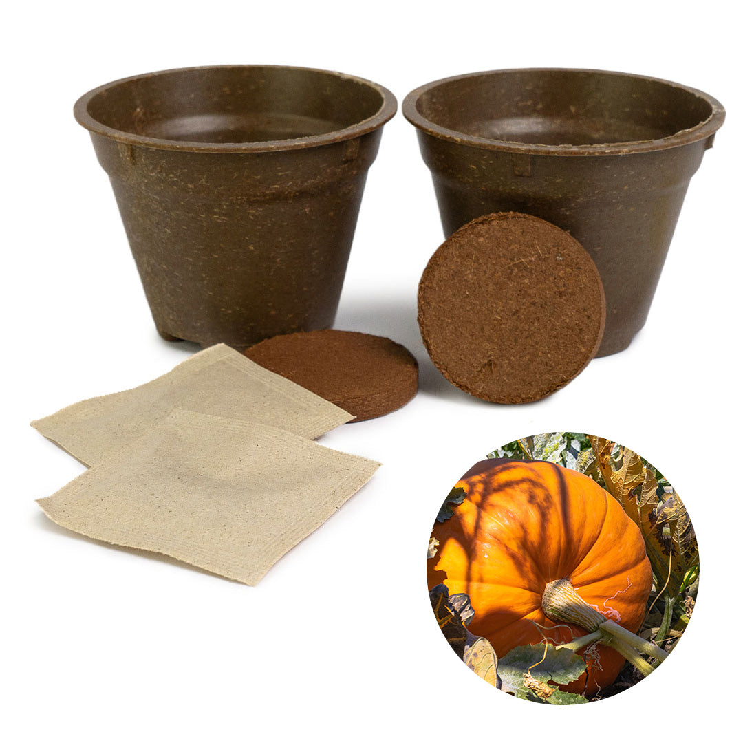 GRETA pro Halloween Set