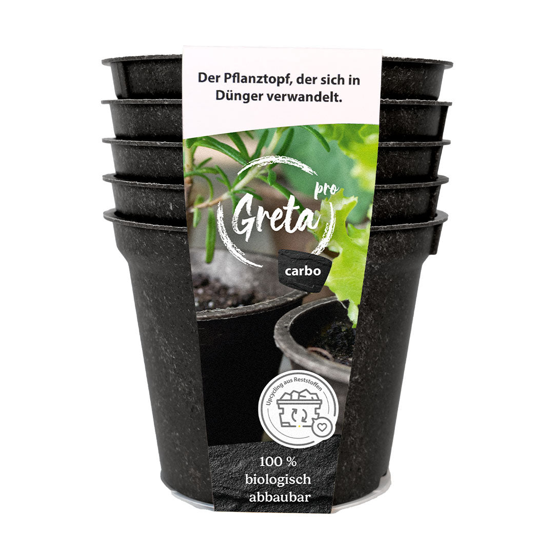 GRETA pro carbo 5er-Set