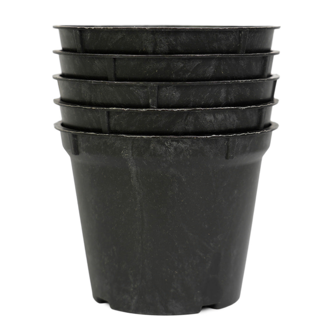 GRETA pro carbo 5er-Set