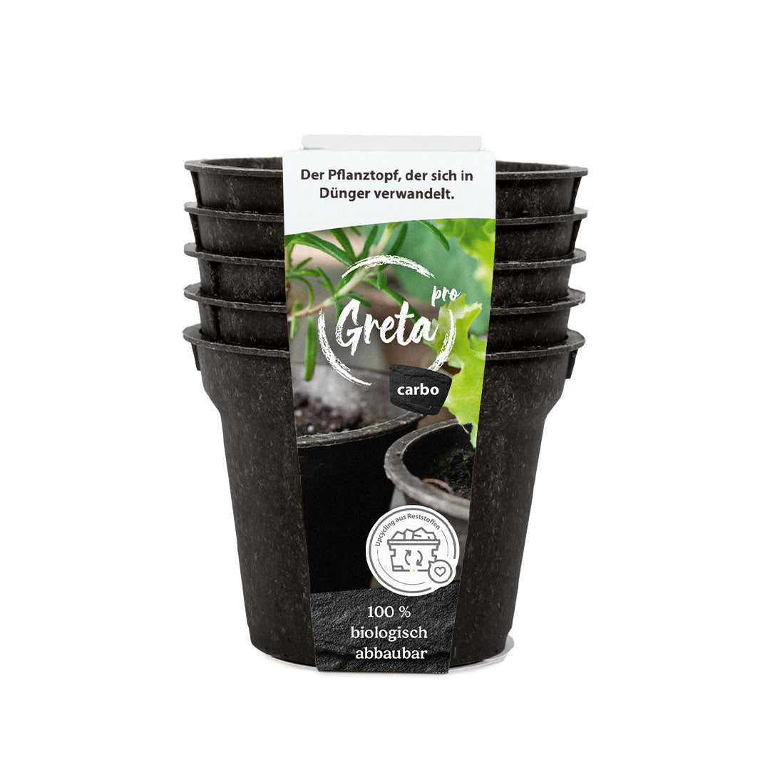 GRETA pro carbo 5er-Set